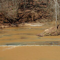 Falling Creek Becoming by Ed Williams