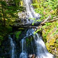 Falls Creek Falls Mt. Rainier by Tammy Keyes