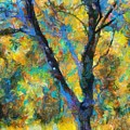 Fallscape Mixed Media by Christopher Reed Fallscape Mixed Media by Christopher Reed