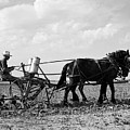 Farmer Fertilizing Corn Photograph by Underwood Archives Arthur Rothstein Farmer Fertilizing Corn Photograph by Underwood Archives Arthur Rothstein