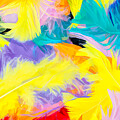 Feather Fall by Jim Signorelli