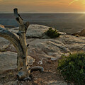 February 2025 Lone Tree Sunset by Alain Zarinelli