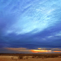 February Mood by Rod Seel