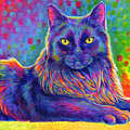 Psychedelic Rainbow Black Cat - Felix Painting by Rebecca Wang Psychedelic Rainbow Black Cat - Felix Painting by Rebecca Wang