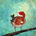 Festive Robin in Holiday Hat by Zan Savage