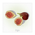 Figs Fresh Fruits Mixed Media by Shari Warren Figs Fresh Fruits Mixed Media by Shari Warren