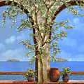 Fiori Bianchi Sulla Parete Painting by Guido Borelli Fiori Bianchi Sulla Parete Painting by Guido Borelli