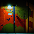 Fire Sprinkler Riser Room  by Rodney Lee Williams