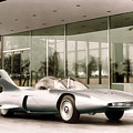 Firebird III Photograph by Franchi Torres Firebird III Photograph by Franchi Torres