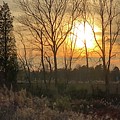 Golden First Day of Winter by J Hale Turner Golden First Day of Winter by J Hale Turner