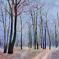 First Frost Painting by Hailey E Herrera First Frost Painting by Hailey E Herrera