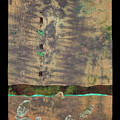 Fish and Game Mixed Media by Vivian Aumond Fish and Game Mixed Media by Vivian Aumond