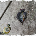 Fishing Digital Art by Chauncy Holmes Fishing Digital Art by Chauncy Holmes