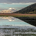First morning light lagoon and Chimborazo volcano reflection by Henri Leduc