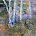 Five Birches by Marsha Karle