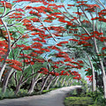 Flamboyanes by Luis F Rodriguez Flamboyanes by Luis F Rodriguez