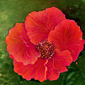 Flamenco Dancer Painting by Juliette Becker Flamenco Dancer Painting by Juliette Becker