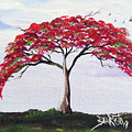 Flaming Tree by Gloria E Barreto-Rodriguez