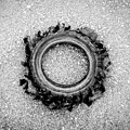 Flat Tire BW Photograph by Troy Stapek Flat Tire BW Photograph by Troy Stapek