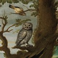 Flemish School Century An owl and a hoopoe and other birds in a tree Painting by MotionAge Designs Flemish School Century An owl and a hoopoe and other birds in a tree Painting by MotionAge Designs