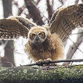 Flight lesson by Mircea Costina Photography