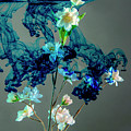 Floating blue cloud surrounding flowers Photograph by Dan Friend Floating blue cloud surrounding flowers Photograph by Dan Friend