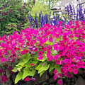 Floral Medley Closeup Photograph by Karen Zuk Rosenblatt Floral Medley Closeup Photograph by Karen Zuk Rosenblatt