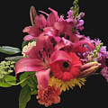 Floral Profusion Photograph by Brian Watt Floral Profusion Photograph by Brian Watt