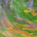 Floral Rainbow by Tamara Becker