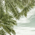 FLORIDA Ocean view - Vintage Panorama Photograph by Melanie Viola FLORIDA Ocean view - Vintage Panorama Photograph by Melanie Viola