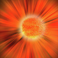 Flower Burst by Anna Adams