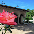 Flower by a Monastery Shrine - Bucharest, Romania by Barry O Carroll Flower by a Monastery Shrine - Bucharest, Romania by Barry O Carroll