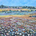 Flower Field by Sinisa Saratlic Flower Field by Sinisa Saratlic