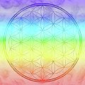 Flower of Life 1 Digital Art by Angie Tirado Flower of Life 1 Digital Art by Angie Tirado