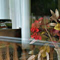 Flowers and Reflections Mistletoe Cottage Jekyll Island by Bruce Gourley