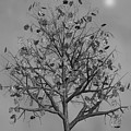 Flowers Beneath The Autumn Tree Black and White Mixed Media by David Dehner Flowers Beneath The Autumn Tree Black and White Mixed Media by David Dehner
