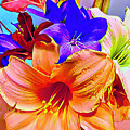 Flowers from Catharen Digital Art by Nancy Olivia Hoffmann Flowers from Catharen Digital Art by Nancy Olivia Hoffmann