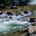 Flowing Red River of Northern New Mexico Photograph by Debra Martz Flowing Red River of Northern New Mexico Photograph by Debra Martz