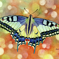 Flutter Away Painting by Hailey E Herrera Flutter Away Painting by Hailey E Herrera