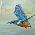 Flying Kingfisher by Angeles M Pomata