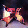 Flying Solo 005 Digital Art by Stacey Mayer Flying Solo 005 Digital Art by Stacey Mayer