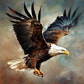 Focused by Jordan Blackstone