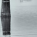 Fog Enshrouded Ferry Photograph by Tony Locke Fog Enshrouded Ferry Photograph by Tony Locke