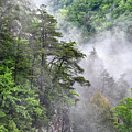 Fog In Valley 2 Photograph by Phil Perkins Fog In Valley 2 Photograph by Phil Perkins