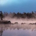 Fog over Cox's Lake I by Patrick Boening