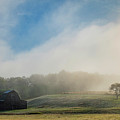 Foggy Morn by Melissa Southern