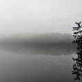 Foggy Morning Tree Photograph by Brad Nellis Foggy Morning Tree Photograph by Brad Nellis