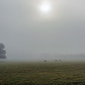 Hill Country Fog - Gillespie County, TX Photograph by Joe Houde Hill Country Fog - Gillespie County, TX Photograph by Joe Houde