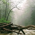 Foggy River Photograph by Brad Nellis Foggy River Photograph by Brad Nellis