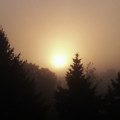 Foggy Sunrise Photograph by Phil Perkins Foggy Sunrise Photograph by Phil Perkins